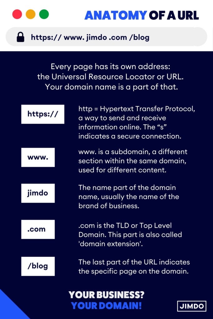  infographic domain name